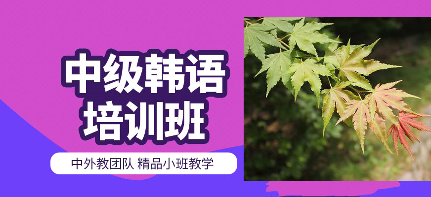 韓語(yǔ)培訓(xùn)-韓國(guó)留學(xué)