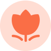 北外雅思托福優(yōu)勢