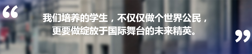 國際學(xué)校備考-國際課程ALEVEL，IB,AP課程輔導(dǎo)