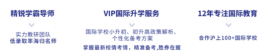 國際學(xué)校備考-國際課程ALEVEL，IB,AP課程輔導(dǎo)