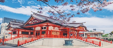 櫻花日語(yǔ)培訓(xùn)班