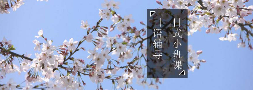 櫻花日語(yǔ)留學(xué)機(jī)構(gòu)