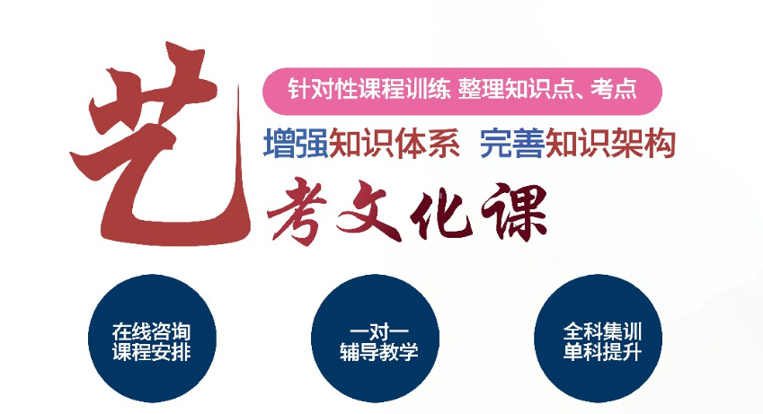 藝考文化課培訓(xùn)班