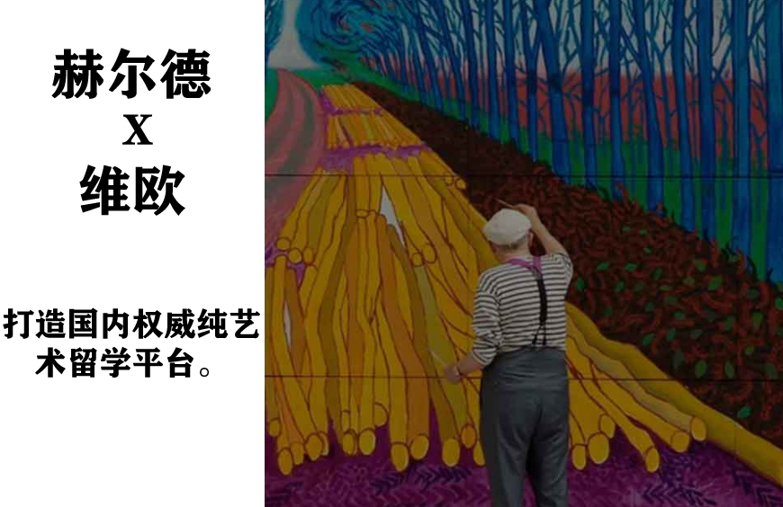 維歐國際藝術教育