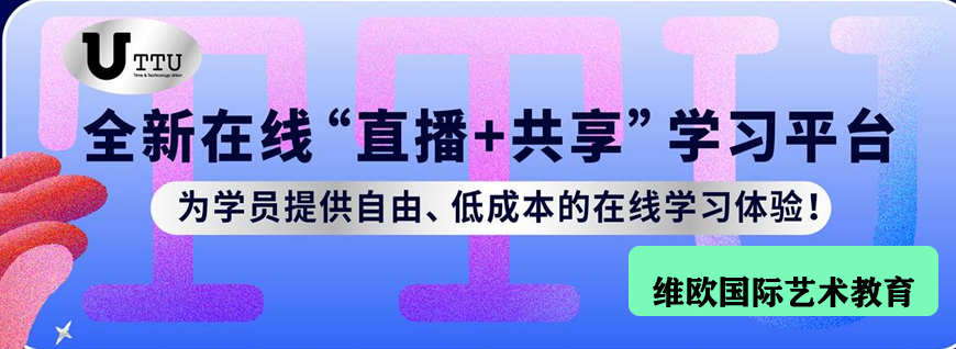 維歐國際藝術(shù)教育