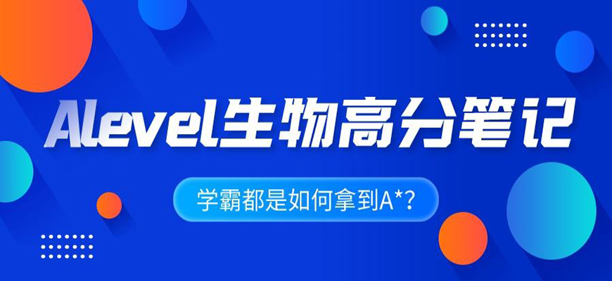 ALEVERL、IG、IB國際課程培訓(xùn)機構(gòu)