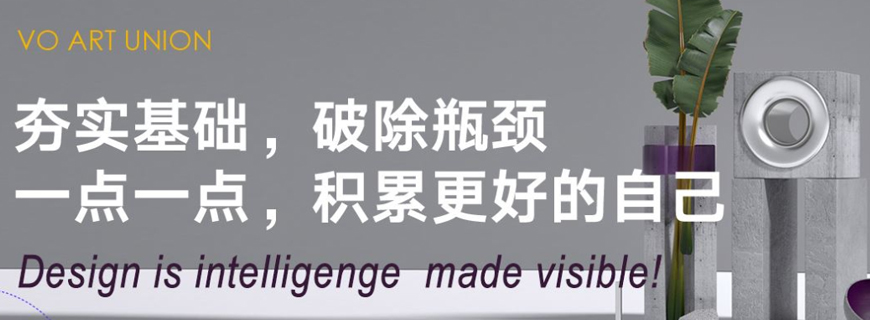 維歐國(guó)際藝術(shù)教育