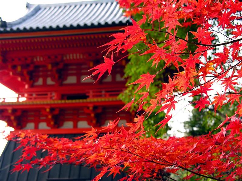 日本留學(xué)